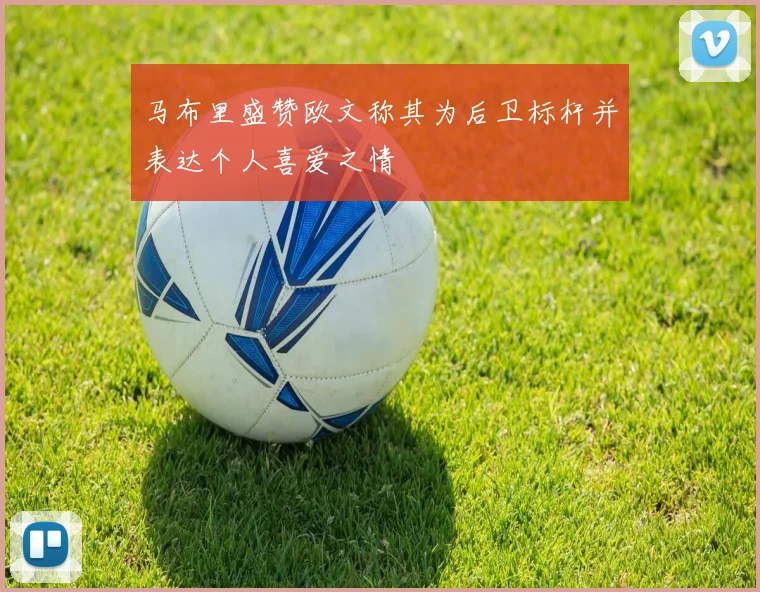 马布里盛赞欧文称其为后卫标杆并表达个人喜爱之情