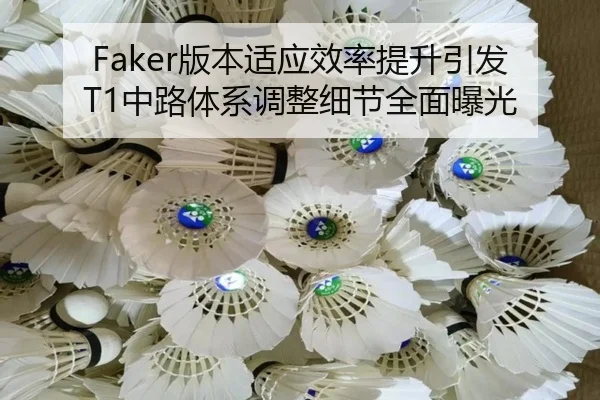 Faker版本适应效率提升引发T1中路体系调整细节全面曝光